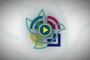 EUvisual galeria 53